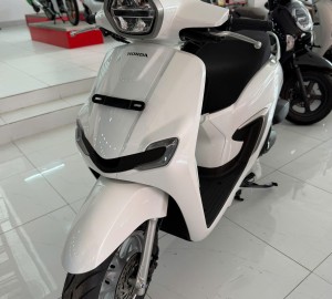 XE STYLO 2026