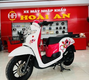 xe scoopy gấu dâu